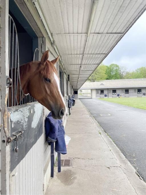 Paddock Prestige By La Boite En Plus Chantilly Esterno foto